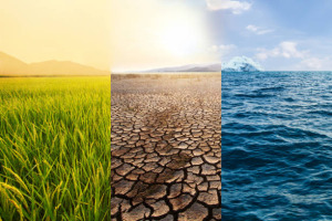 Climate and Disaster